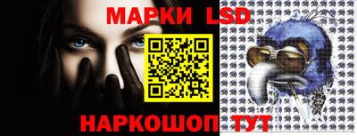 индика Рыбинск