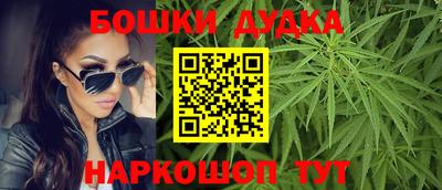 индика Рыбинск