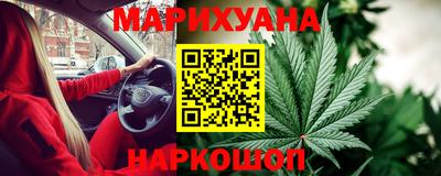индика Рыбинск