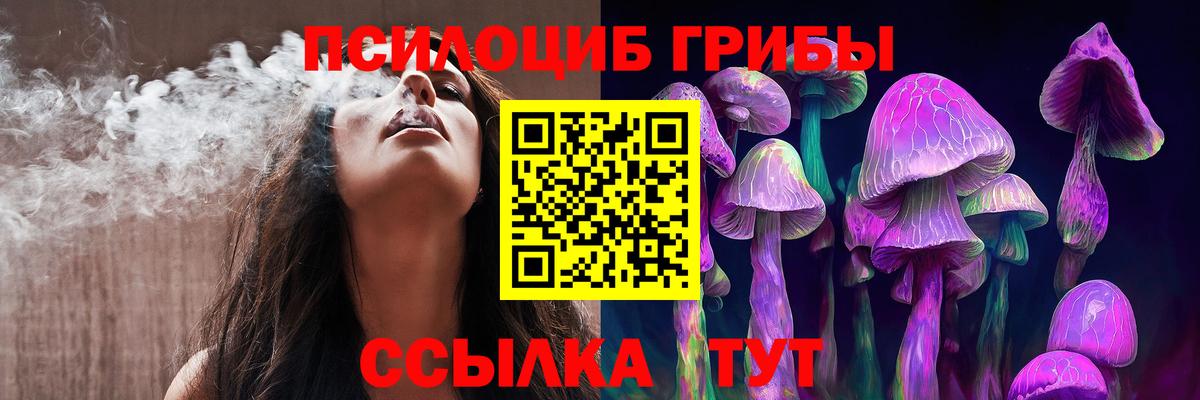 Псилоцибиновые грибы прущие грибы  Вход с VPN  Рассказово  Псилоцибиновые грибы Psilocybine cubensis 